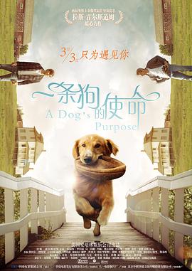 中文亚洲日韩欧美